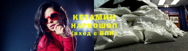 a pvp Новозыбков