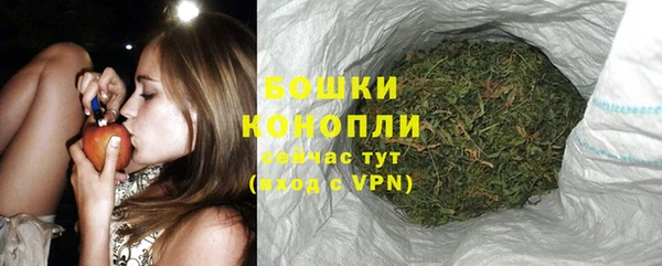 a pvp Новозыбков