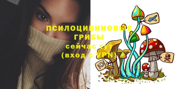 мяу мяу мука Дмитриев